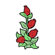 cartoon rosehip flowers N4