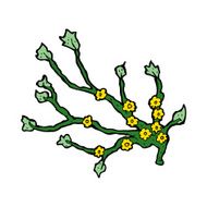cartoon flowering branch N10