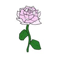 rose cartoon N7