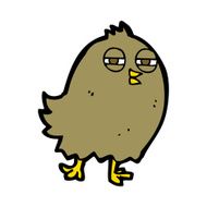 funny cartoon bird N177
