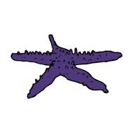 Cartoon Starfish N44