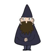 Cartoon Wizard N61