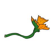 cartoon daffodil flower N11