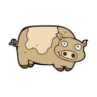 Cartoon Pig N61