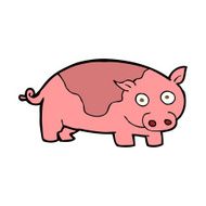 Cartoon Pig N62