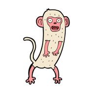 cartoon crazy monkey N18