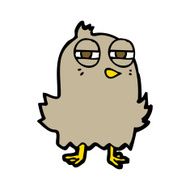 funny cartoon bird N184