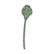 cartoon dried poppy N32