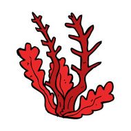 Cartoon Seaweed N74