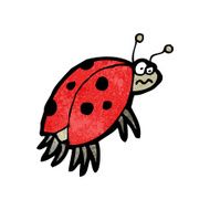 Cartoon Ladybug N67