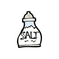 Cartoon Salt Shaker N23
