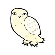 Cartoon Owl N147