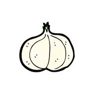 Cartoon Garlic N24