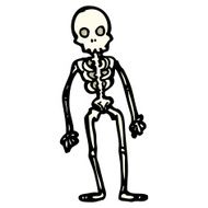 Cartoon Skeleton N18