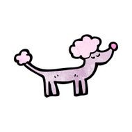 Cartoon Poodle N26