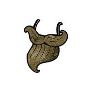 false beard cartoon N3