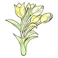 flowers illustration N17