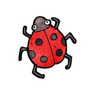 Cartoon Ladybug N80