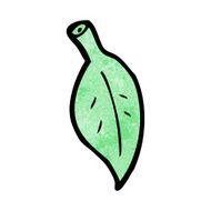 Cartoon Leaf N80