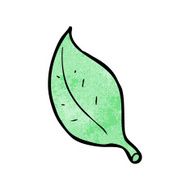 Cartoon Leaf N81