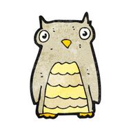 Cartoon Owl N150