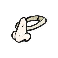 Cartoon Nose N19