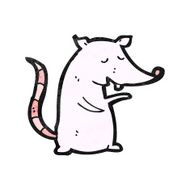 cartoon white rat N2