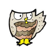 Cartoon Owl N157