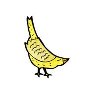 Cartoon Bird N417