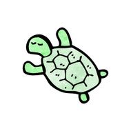 Cartoon Tortoise N42