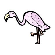 Cartoon Flamingo N13
