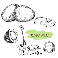 Kiwi fruit N2