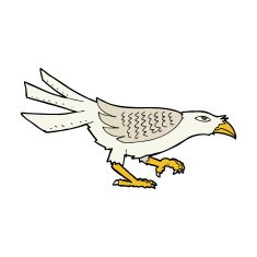 Cartoon Bird N371