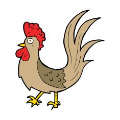 cartoon cockerel N31