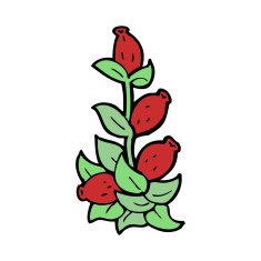 cartoon rosehip flowers N4