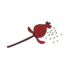 cartoon dried poppy flower N4