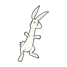 Cartoon Rabbit N142