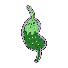 cartoon bubbling stomach N11