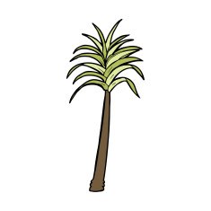 Cartoon Palm Tree N78