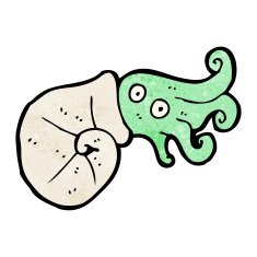 cartoon nautilus squid N11