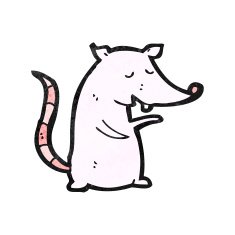 cartoon white rat N2