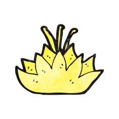 cartoon lotus flower N6