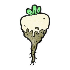 Cartoon Turnip N6