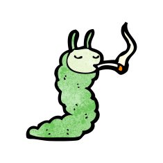 cartoon caterpillar smoking N2