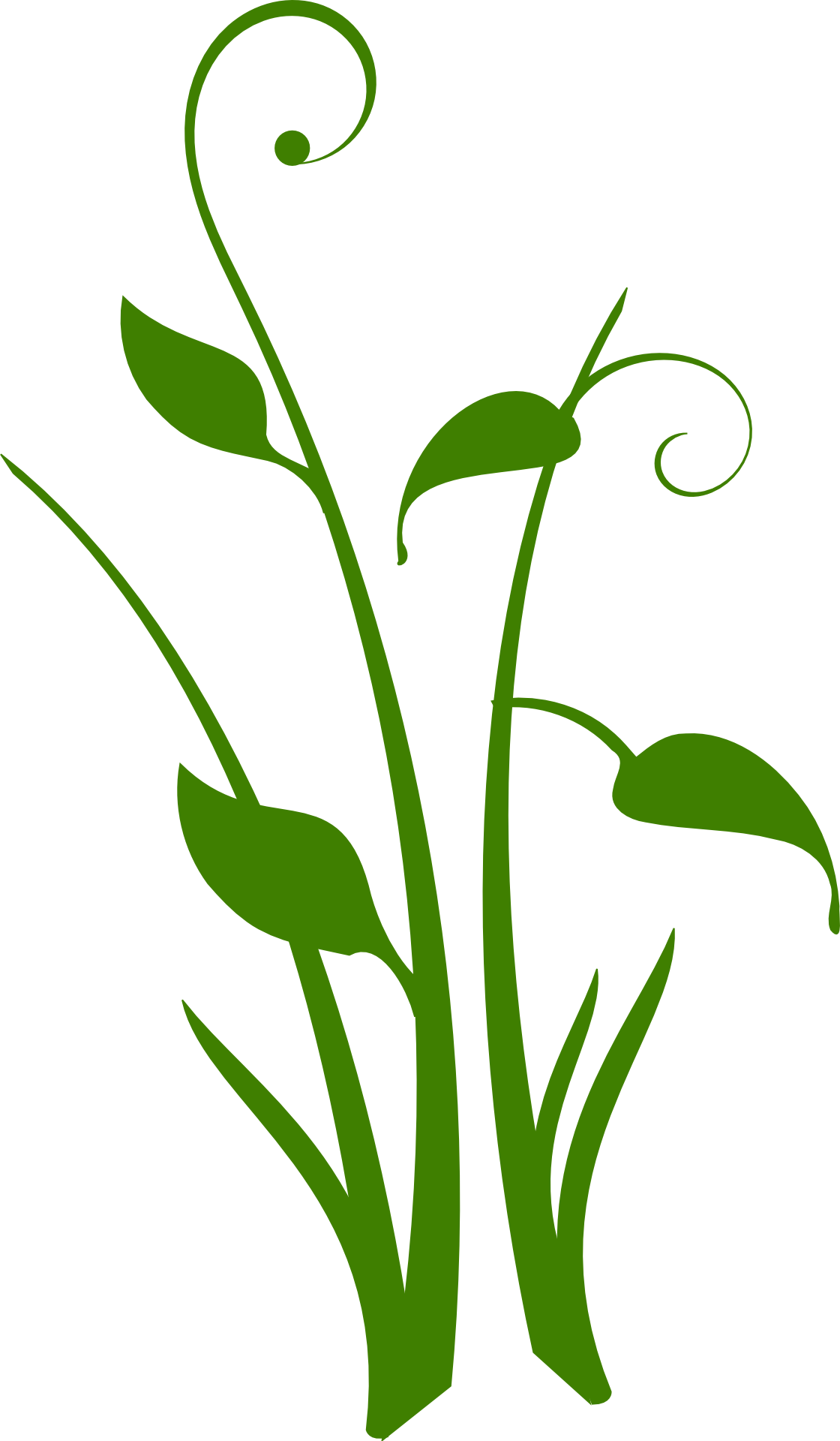 Green plant drawing free image download