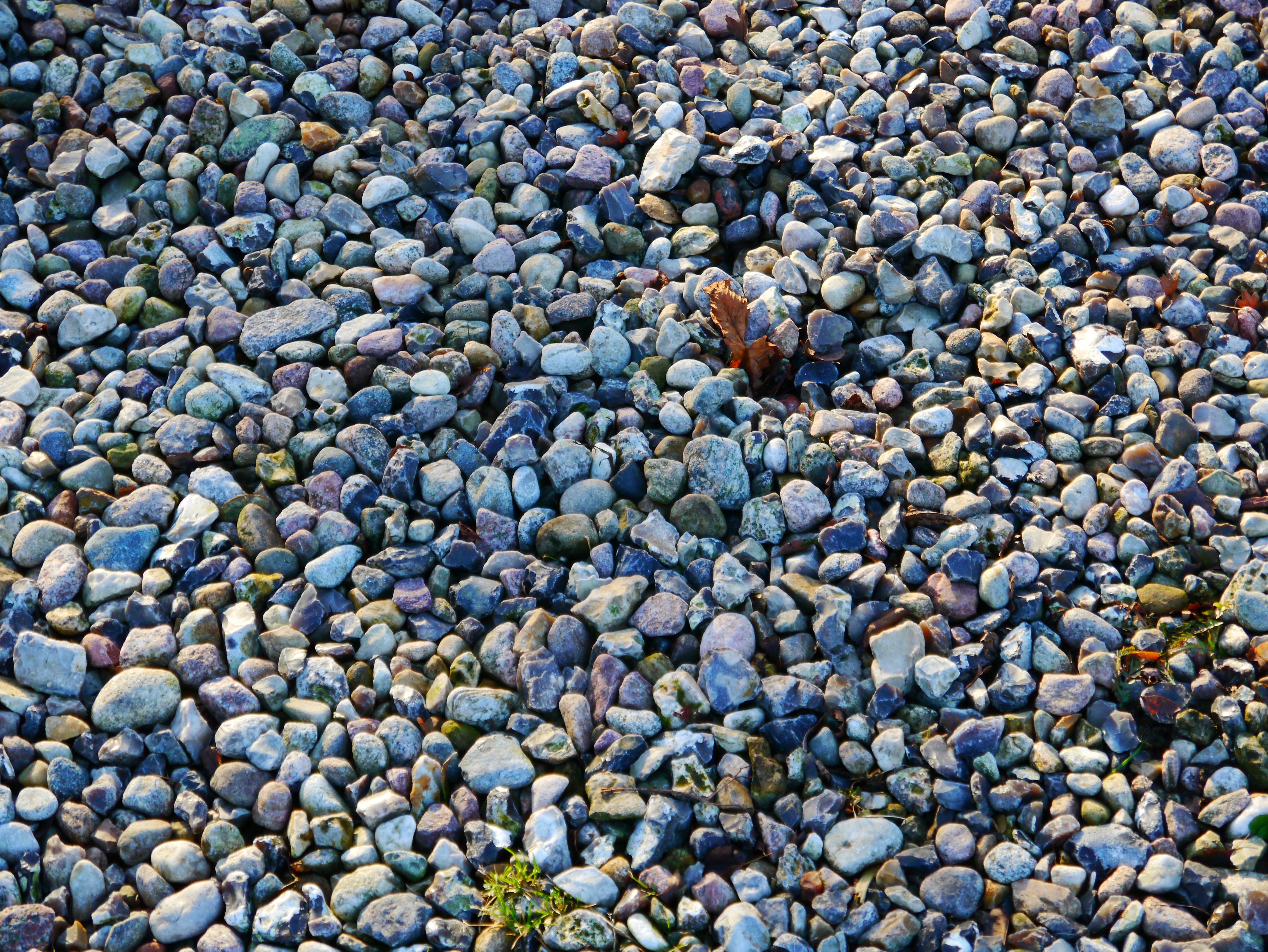 Вместо земли мелкие камушки