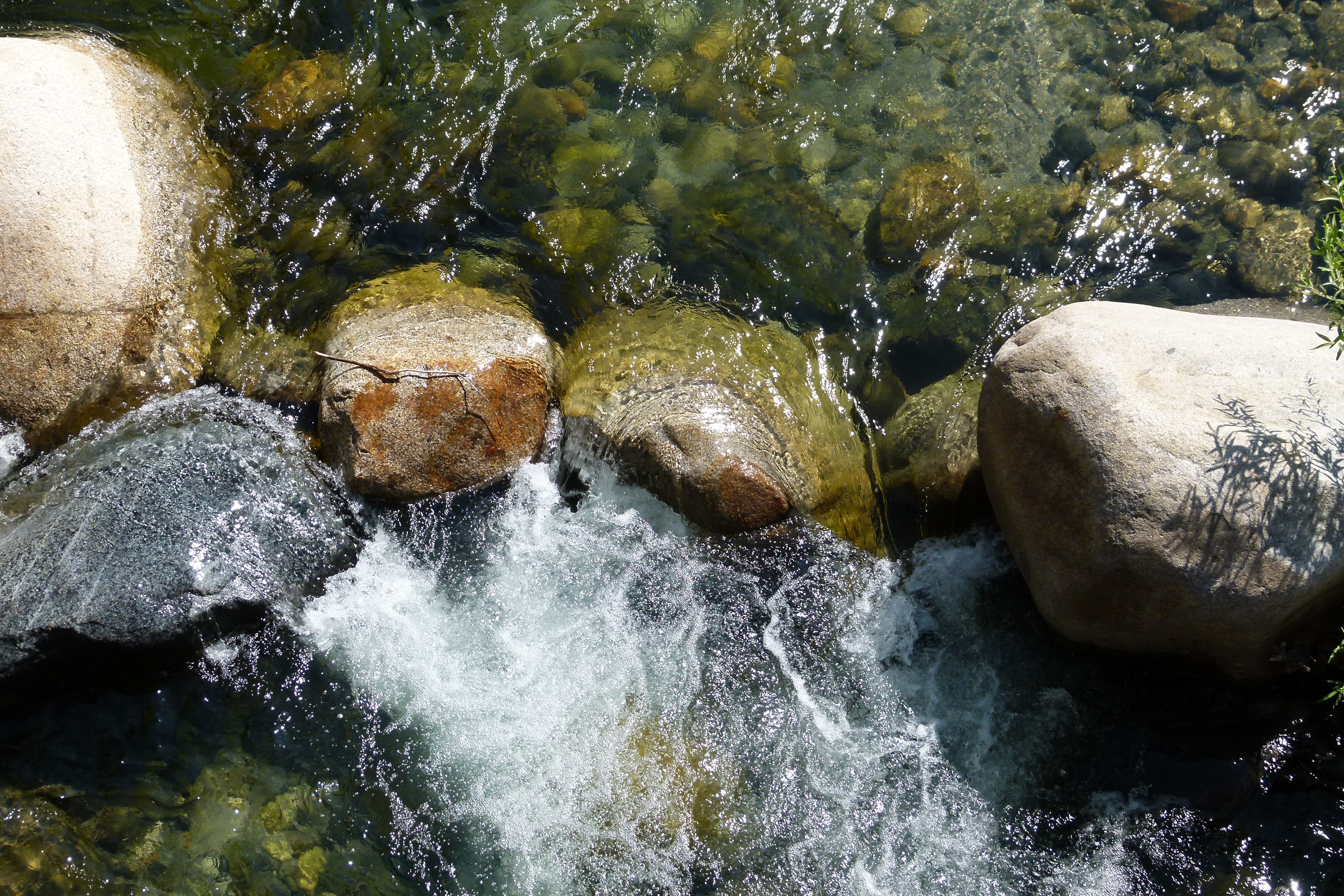 Вода в реках всегда. Вода течет. Проточная вода. Вода река Проточная. Проточные воды в природе.