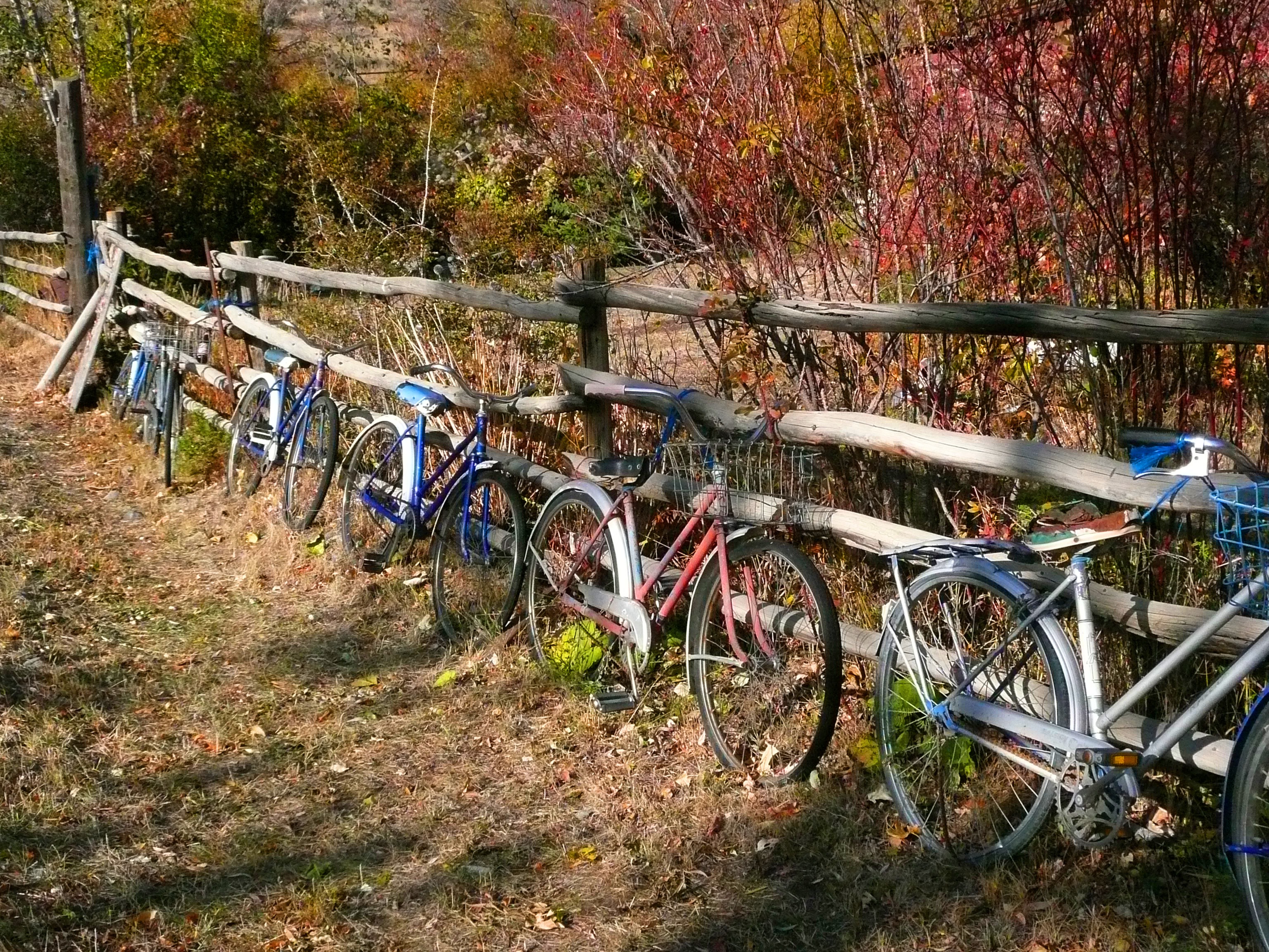 Велосипед для деревни. Велосипед в ландшафтном дизайне. Забор из велосипедов. Велосипед у забора. Велосипед в деревне.
