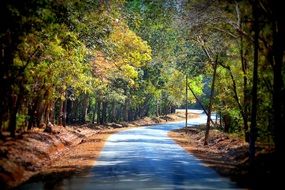 road beautiful