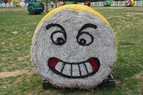 decorative sculpture of straw
